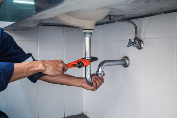 Best Local Plumber Services  in Columbia, MO